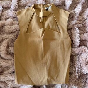 Zara Tan Sleeveless Women's Crop Top